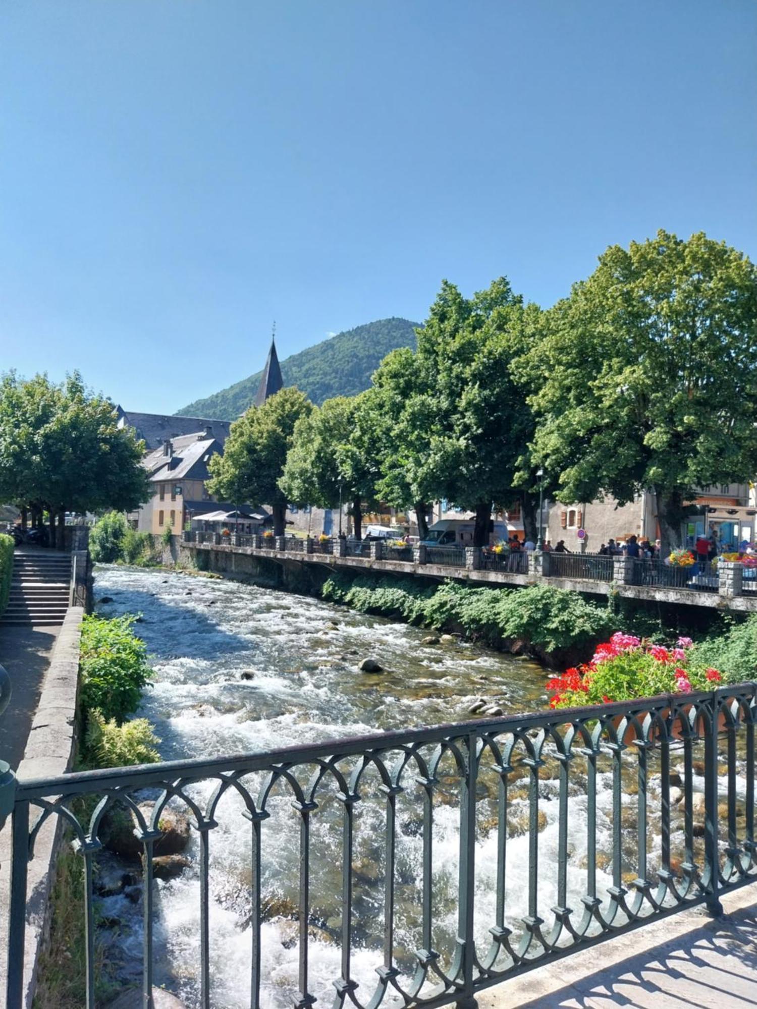 Entre Montagne Et Riviere Apartment Arreau Bagian luar foto